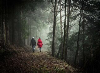 Woman Awarded $55 M in Peeping Tom Lawsuit