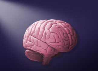 Mental health diagnoses jump among seniors Mental health diagnoses jump among seniors