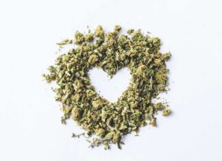 What Does Weed Do to Your Heart? What Does Weed Do to Your Heart?