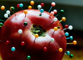 How do different diets protect our health as we age? How do different diets protect our health as we age?