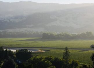 County of Mendocino lauded for creating a healthy work community County of Mendocino lauded for creating a healthy work community