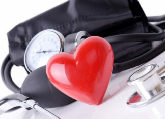 Gut bacteria linked to heart health, study reports Gut bacteria linked to heart health, study reports