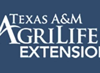 Healthy Aging Month: Tips for seniors to lead a healthier lifestyle | Open Healthy Aging Month: Tips for seniors to lead a healthier lifestyle | Open