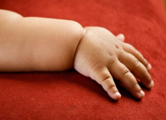 Meal boxes and healthy recipes effective in reducing child obesity Meal boxes and healthy recipes effective in reducing child obesity