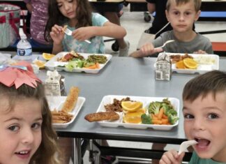 SHAPING THE FUTURE: Schools on front line in fight to offer healthy options, reduce child obesity | News SHAPING THE FUTURE: Schools on front line in fight to offer healthy options, reduce child obesity | News