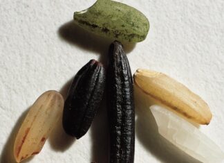 10 Magnesium Rich Foods to Stay Healthy 10 Magnesium Rich Foods to Stay Healthy