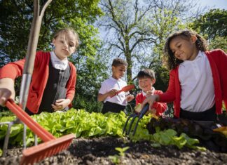 From Research to Reality: Greaux Healthy’s Mission to Fight Childhood Obesity From Research to Reality: Greaux Healthy's Mission to Fight Childhood Obesity