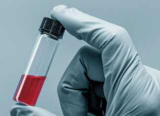 The Frontiers of Aging Well: Geroscience, a Growing Field of Study, Investigates Longevity From New Perspectives Everything Zoomer