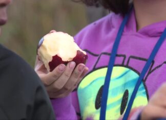 Milwaukee students learn about nutrition, healthy food at farm Milwaukee students learn about nutrition, healthy food at farm