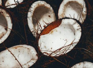 7 foods packed with healthy fats 7 foods packed with healthy fats