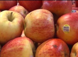 Benefits of eating apples Benefits of eating apples