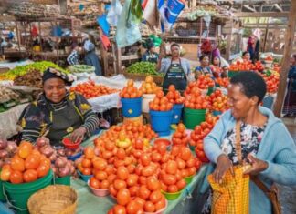 InfoPoint conference: World Food Day – Team Europe committed to support healthy diets and nutrition InfoPoint conference: World Food Day - Team Europe committed to support healthy diets and nutrition