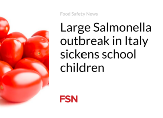 Large Salmonella outbreak in Italy sickens school children Large Salmonella outbreak in Italy sickens school children