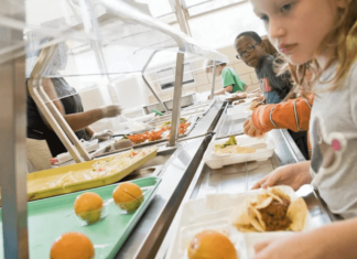 Linn County health educator offers tips on ideal school lunch for fullness ABC logo