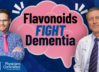 More Flavonoids Means Less Dementia More Flavonoids Means Less Dementia