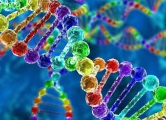 Saudi Arabia, GCC embrace biological age testing in push for healthier aging Saudi Arabia, GCC embrace biological age testing in push for healthier aging