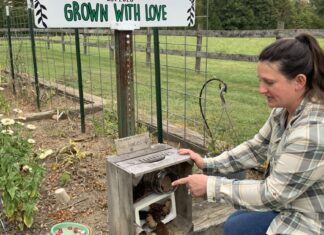 Students cultivate healthy learning, eating | Front Page Students cultivate healthy learning, eating | Front Page