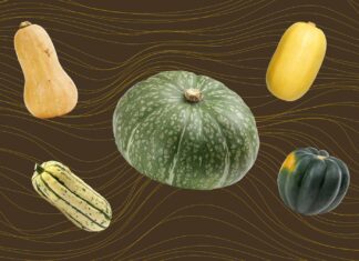 We Asked 3 Chefs Their Favorite Winter Squash—They All Said the Same One We Asked 3 Chefs Their Favorite Winter Squash—They All Said the Same One