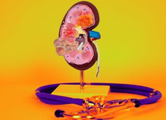 Kidney Health One Bite at a Time: Top 13 Foods That Will Safeguard Your Health Kidney Health Made Easy: 13 Essential Foods to Protect Your Function