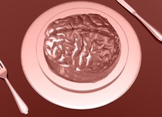 Can This Diet Slow Brain Aging? What a New Study & RDs Say Can This Diet Slow Brain Aging? What a New Study & RDs Say