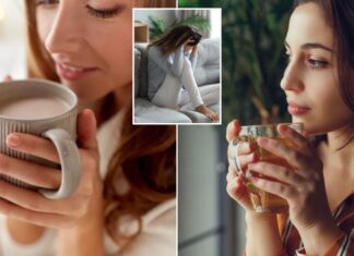 Cocoa, green tea can counteract junk food effects when stressed Cocoa, green tea can counteract junk food effects when stressed