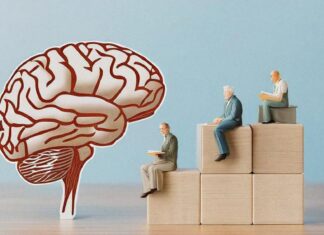 Education, wealth, and job type shape aging brains and cognitive health Study: Socioeconomic inequalities linked to the transitioning to neurocognitive disorders and mortality. Image Credit: Shutterstock AI