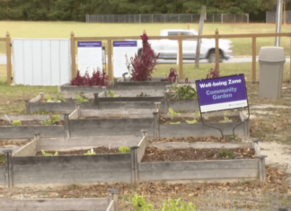 Fall Harvest Event at ECU Health Beaufort Hospital offers fresh produce and health tips ABC logo