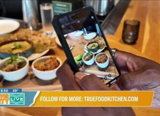 Fresh, Flavorful, and Nutritious Dining in Jacksonville Fresh, Flavorful, and Nutritious Dining in Jacksonville