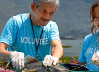 Healthy Aging: Volunteerism as Preventative Health Healthy Aging: Volunteerism as Preventative Health