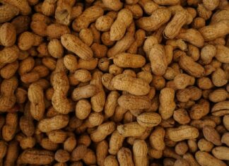 Key Health Benefits Of Eating Peanuts Key Health Benefits Of Eating Peanuts