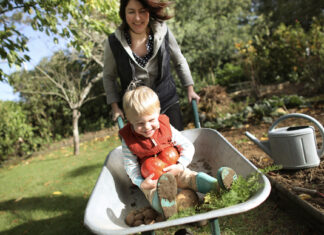 Maternal diet during pregnancy linked to healthy infant growth Maternal diet during pregnancy linked to healthy infant growth