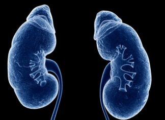 New analysis confirms canagliflozin’s cardiovascular and kidney benefits in older adults New analysis confirms canagliflozin's cardiovascular and kidney benefits in older adults