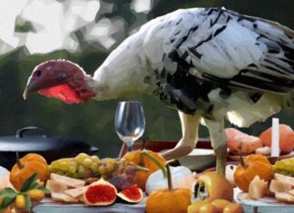 On Thanksgiving 30 years ago, I gave up turkey and haven’t looked back On Thanksgiving 30 years ago, I gave up turkey and haven’t looked back