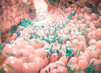 Reversing Time From Within: Can Gut Bacteria Delay Aging? Reversing Time From Within: Can Gut Bacteria Delay Aging?