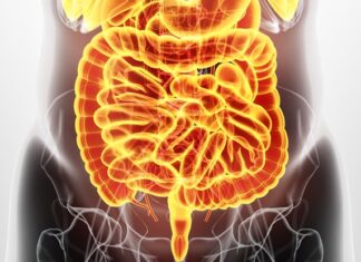 Surprising ‘Nocebo Effect’ Shows Gluten May Not Be The Problem in IBS : ScienceAlert Surprising 'Nocebo Effect' Shows Gluten May Not Be The Problem in IBS : ScienceAlert