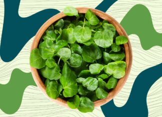 The CDC Named This Underrated Vegetable the Healthiest, but It’s Been My Favorite for Decades The CDC Named This Underrated Vegetable the Healthiest, but It's Been My Favorite for Decades