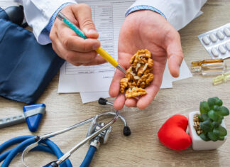 The diet-mental health connection The diet-mental health connection