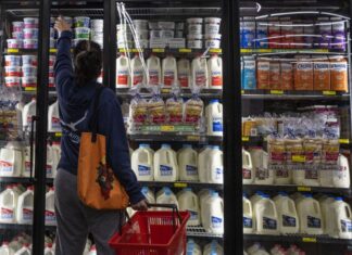 Program aims to provide young families with access to healthy food Program aims to provide young families with access to healthy food