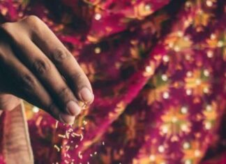 7 Street Foods That Are Safe And Healthy To Eat 7 Street Foods That Are Safe And Healthy To Eat