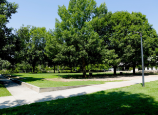 Melanie Benjamin Lifts the Curtain on Healthy Aging Melanie Benjamin Lifts the Curtain on Healthy Aging