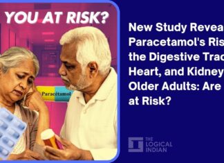 New Study Reveals Paracetamol’s Risks to the Digestive Tract, Heart, and Kidneys in Older Adults: Are You at Risk? New Study Reveals Paracetamol's Risks to the Digestive Tract, Heart, and Kidneys in Older Adults: Are You at Risk?