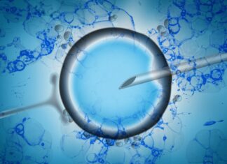 New therapies and technologies provide hope for age-related fertility challenges Study: Emerging therapeutic strategies to mitigate female and male reproductive aging. Image Credit: BGStock72 / Shutterstock