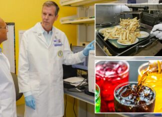 Ultra-processed foods drive colorectal cancer risk, prevent healing: study Ultra-processed foods drive colorectal cancer risk, prevent healing: study