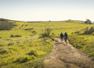 100 is the new 65: The new world of super-aging (The Good Brigade/Getty Images)