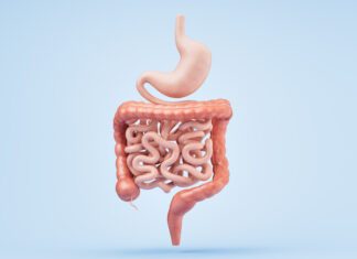 Here’s how a healthy gut lets you live a longer, healthier life Here’s how a healthy gut lets you live a longer, healthier life