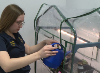 Mandan High School senior addresses mental health, hunger through plants Mandan High School senior addresses mental health, hunger through plants