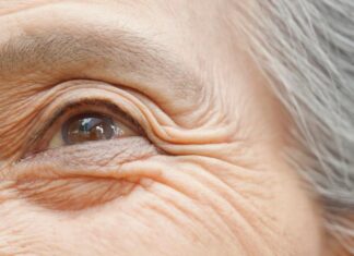 What Is Biological Age? Gray gradient