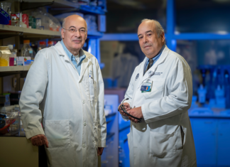 MCG study looks at age, duration of obesity’s effects on brain health – Jagwire Two male scientists stand in a lab. Both are wearing lab coats.