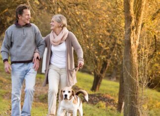 Why Dog Owners Might Have a Sharper Mind in Old Age Why Dog Owners Might Have a Sharper Mind in Old Age
