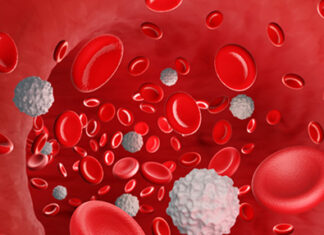 Scientists develop improved mouse model for studying systemic aging-related health decline Scientists develop improved mouse model for studying systemic aging-related health decline